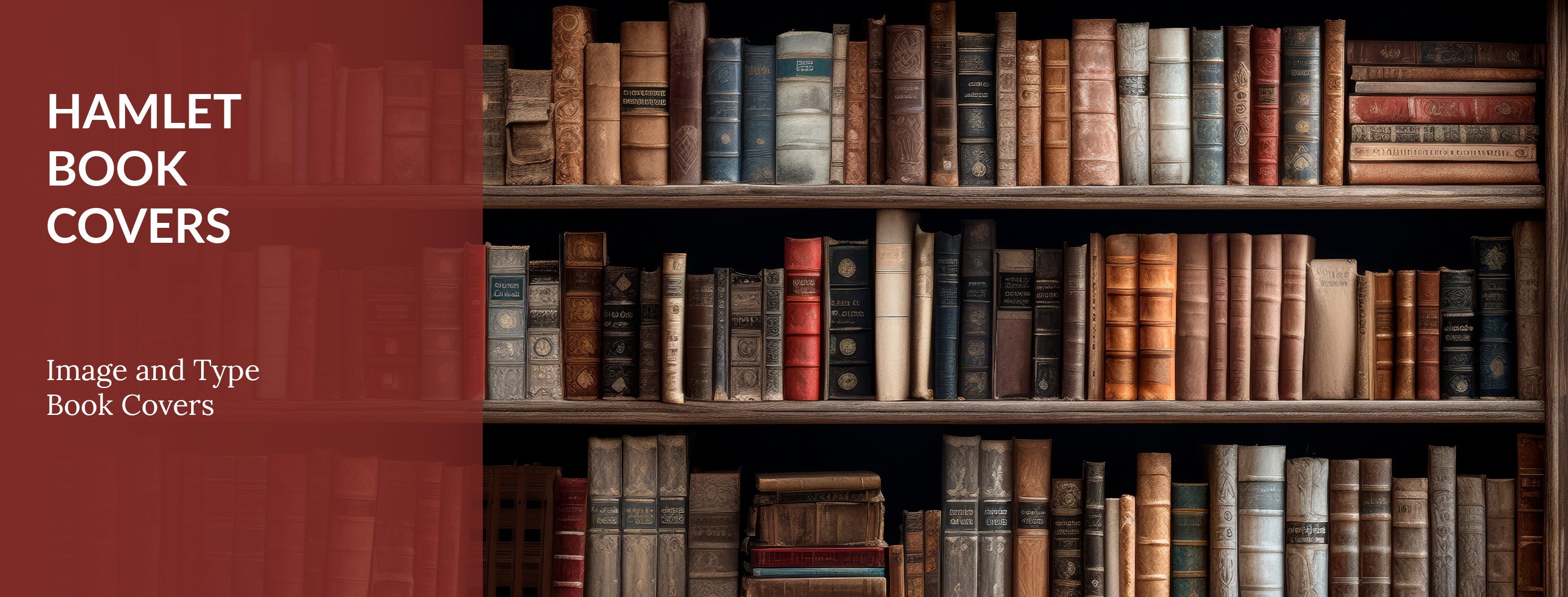 Hamlet Book Cover Hero Image